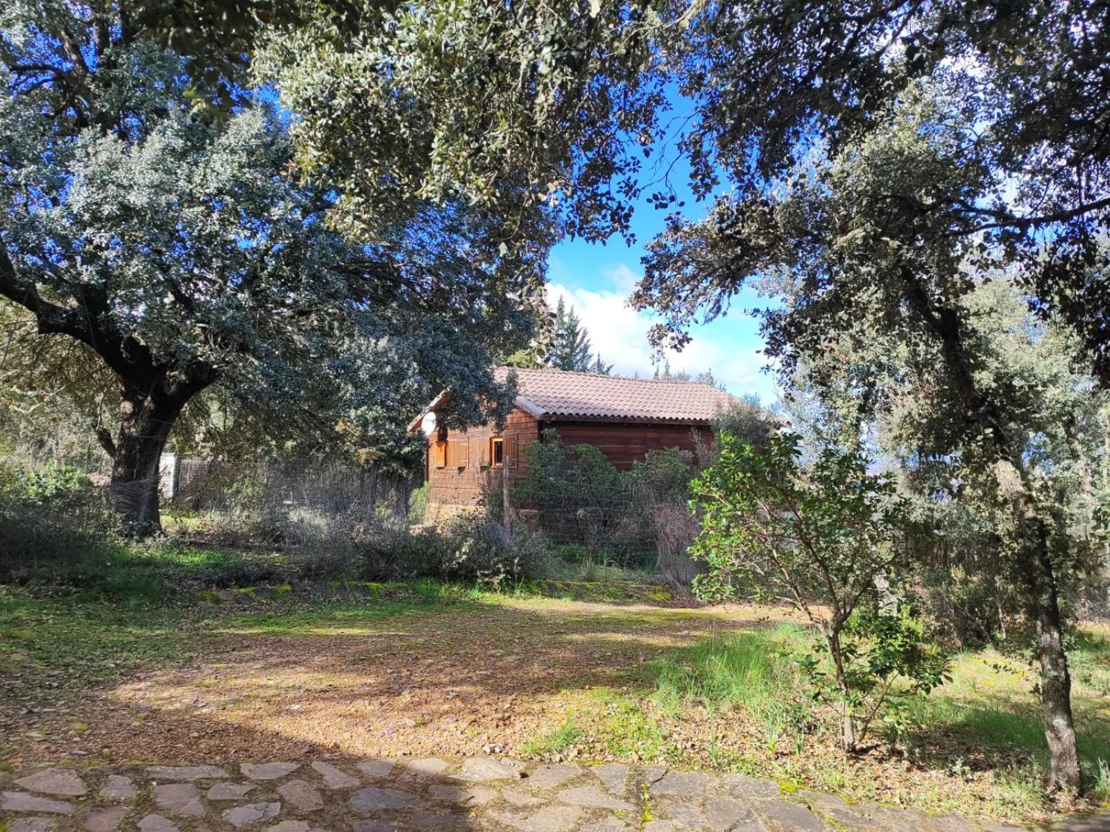 Nuevo Ecolodge Cabaneros Retuerta de Bullaque Екстер'єр фото