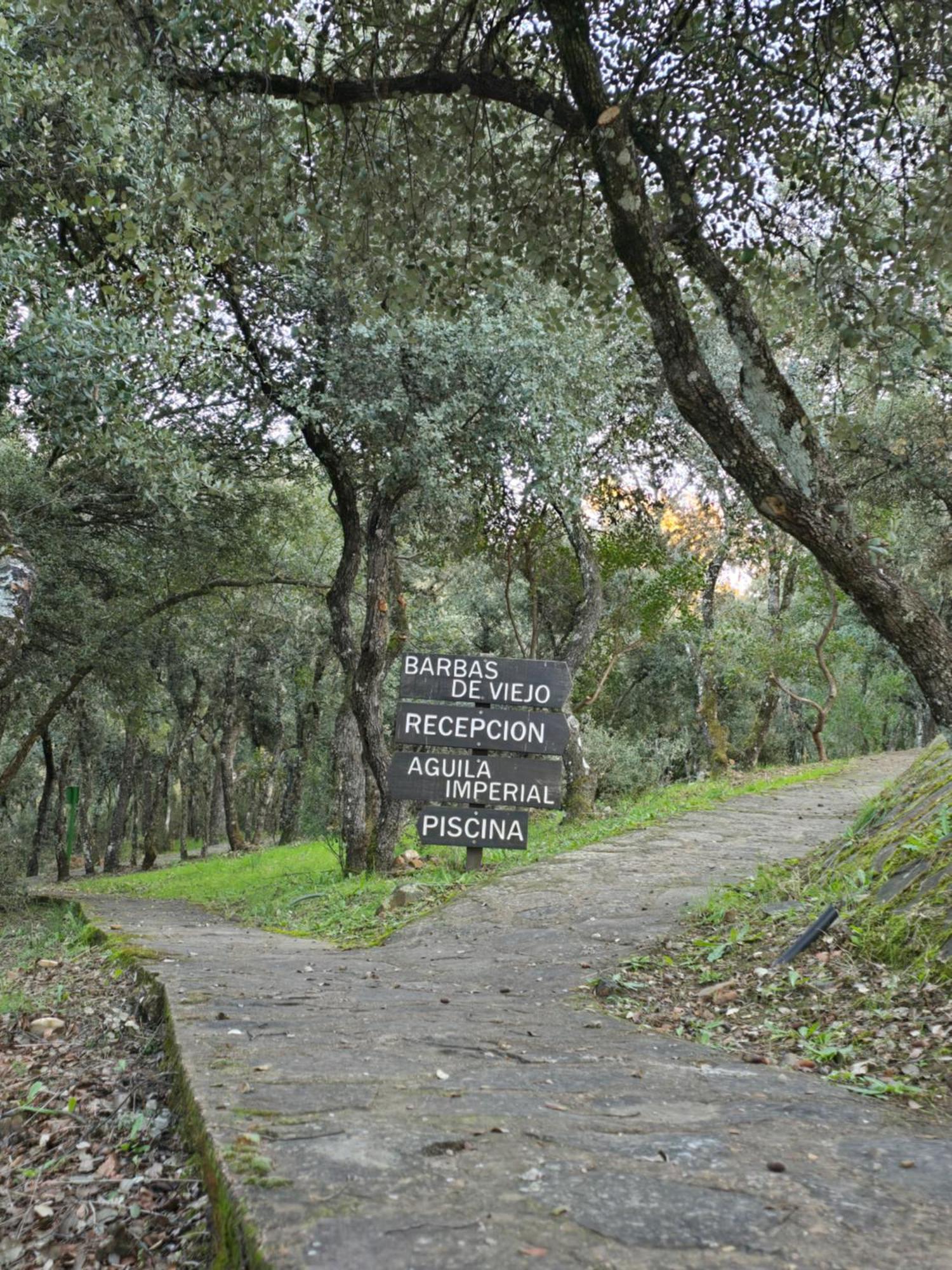 Nuevo Ecolodge Cabaneros Retuerta de Bullaque Екстер'єр фото