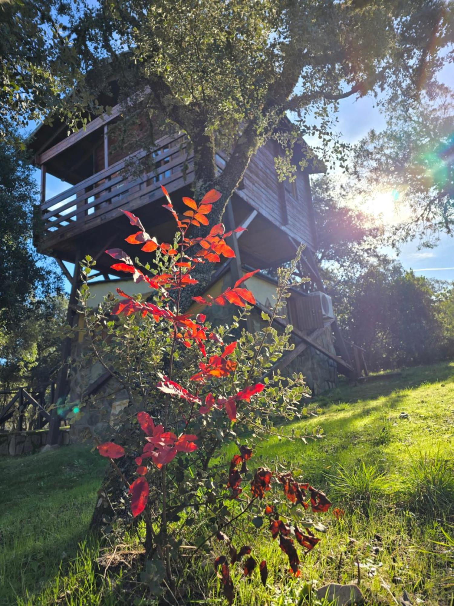 Nuevo Ecolodge Cabaneros Retuerta de Bullaque Екстер'єр фото